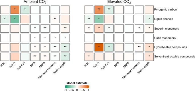 Burning Wood? Caring for the Earth? — Research — Department of Ecosystem  Science and Management