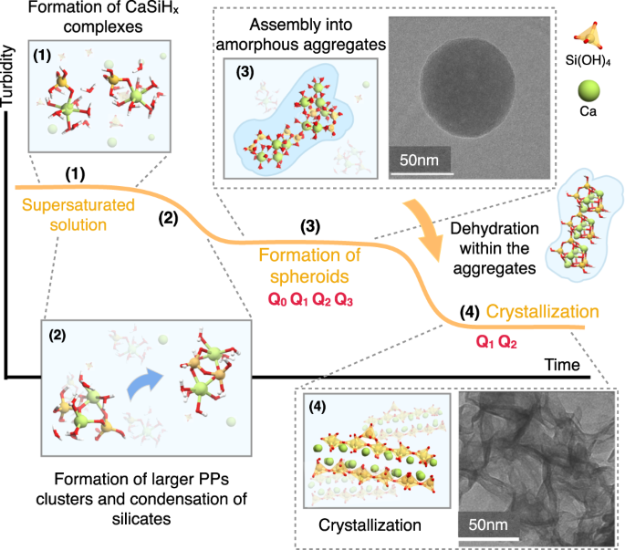 Geometrically frustrated interactions drive structural complexity in  amorphous calcium carbonate