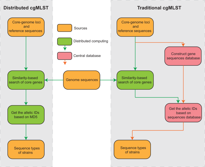 Distributed genotyping and clustering of Neisseria strains reveal ... - Nature.com