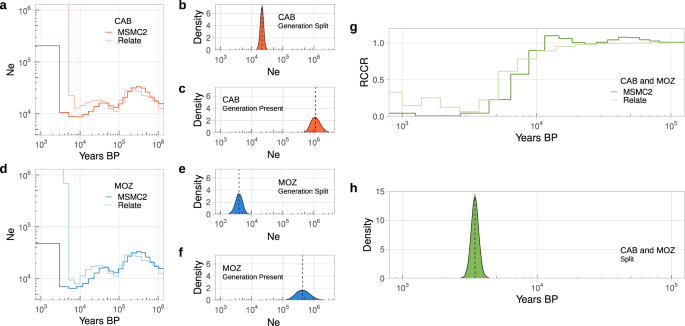 PDF) Whole genomes from Angola and Mozambique inform about the origins and  dispersals of major African migrations