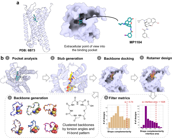 Design and structural validation of peptide–drug conjugate ligands of the kappa-opioid receptor | Nature Communications design-and-structural-validation-of-peptide-drug-conjugate-ligands-of-the-kappa-opioid-receptor-nature-communications