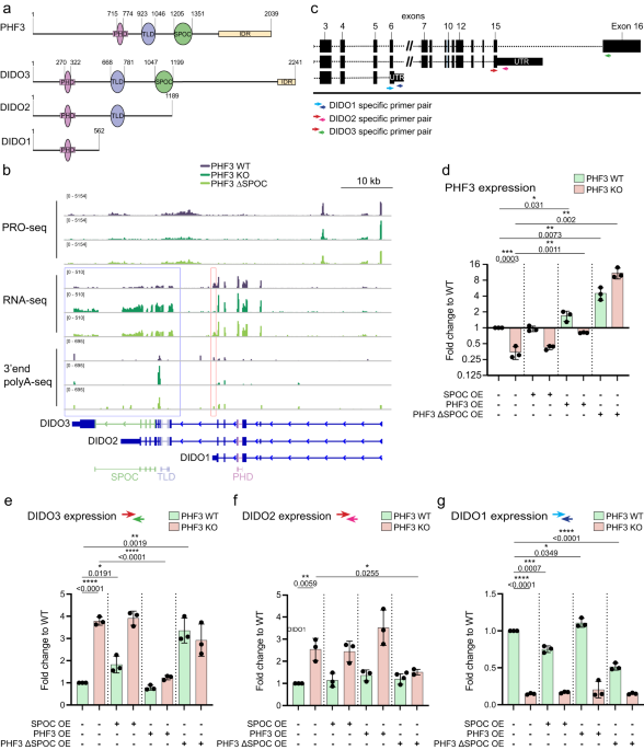 dsip phospho dsip used synonymously DDB1 - an overview Dichlobenil - an overview |