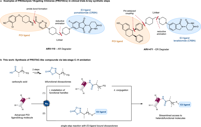 PDF) Novel one-pot synthesis of a library of 2-aryloxy- 1,4