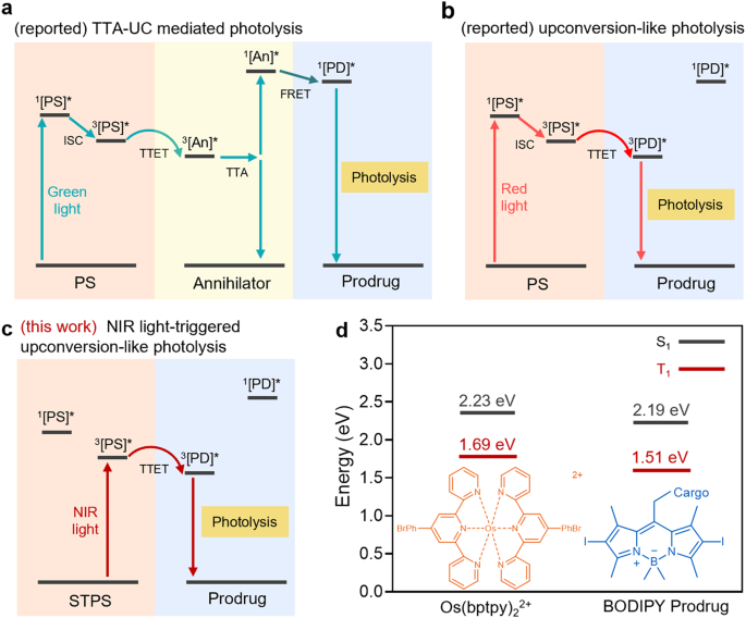 Near-infrared light-triggered prodrug photolysis by one-step energy transfer - Nature.com