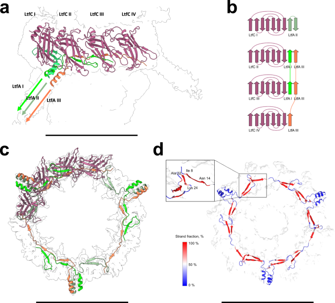 Nearly Complete Structure Of Bacteriophage DT57C Reveals.