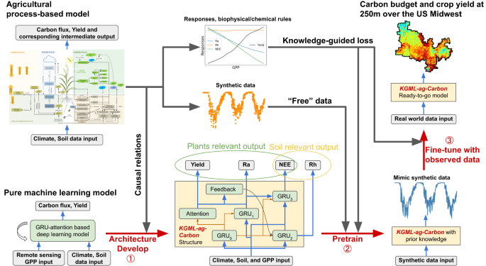 Knowledge-guided machine learning can improve carbon cycle quantification in agroecosystems - Nature Communications