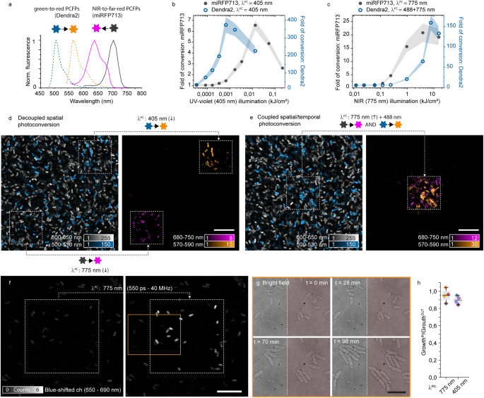 Directly monitor protein rearrangement on a nanosecond-to-millisecond time- scale