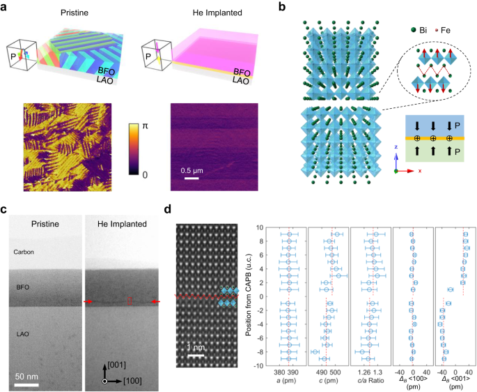 In-plane charged antiphase boundary and 180° domain wall in a ferroelectric film