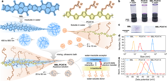Ground-state electron transfer in all-polymer donor:acceptor blends enables aqueous processing of water-insoluble conjugated polymers | Nature Communications ground-state-electron-transfer-in-all-polymer-donor-acceptor-blends-enables-aqueous-processing-of-water-insoluble-conjugated-polymers-nature-communications