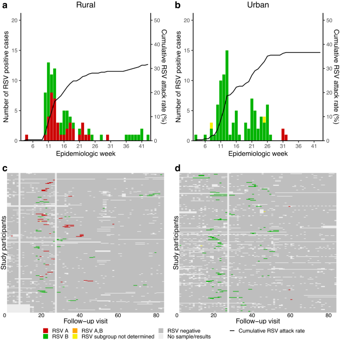 Incidence and transmission of respiratory syncytial virus in urban 