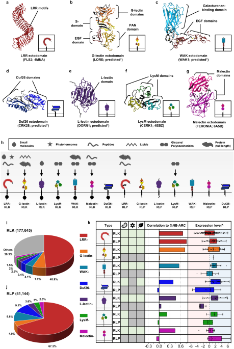 evolutionary-trajectory-of-pattern-recognition-receptors-in-plants-nature-communications