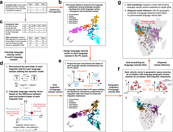 Inferring language dispersal patterns with velocity field 