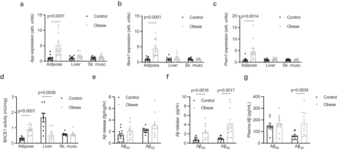 Amyloid beta 42 alters cardiac metabolism and impairs cardiac function in male mice with obesity