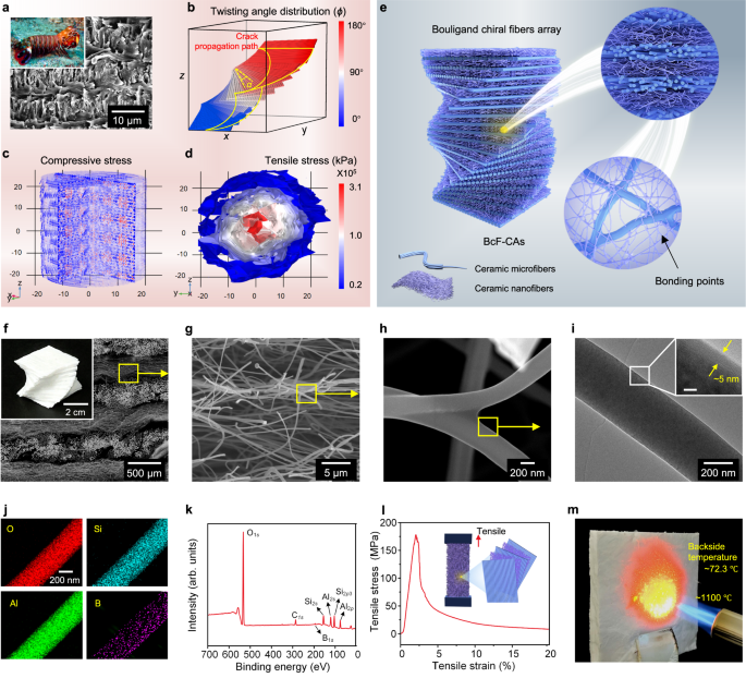 Super-elastic and fatigue resistant carbon material with lamellar  multi-arch microstructure