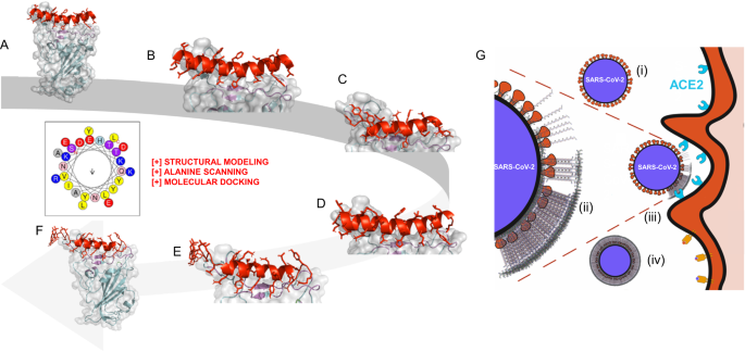                               Nature Communications                          volume  15, Article number: 1142  (2024 )             Cite this articl