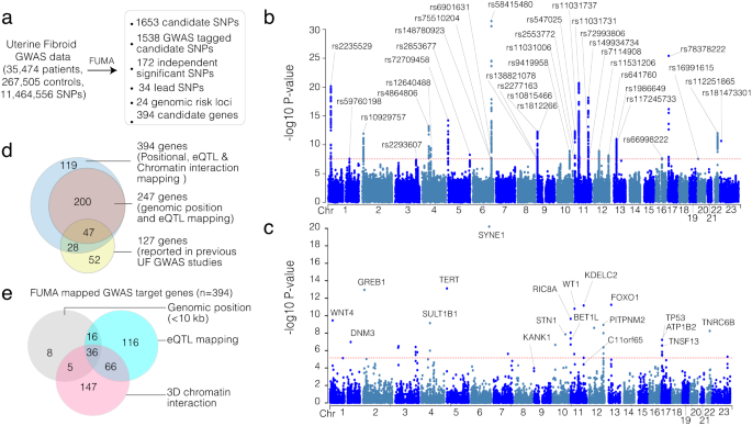 glutathione for fibroids Integrating leiomyoma genetics, epigenomics, and single-cell  transcriptomics reveals causal genetic variants, genes, and cell types