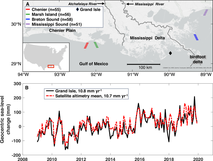 Realworld timetravel experiment shows ecosystem collapse due to