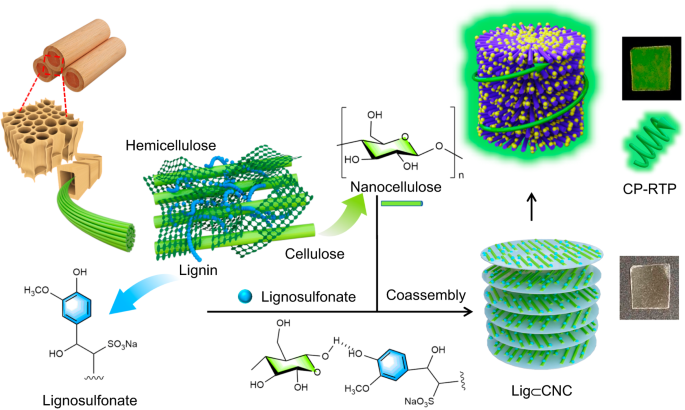 Biobased and biodegradable films exhibiting circularly polarized room temperature phosphorescence - 