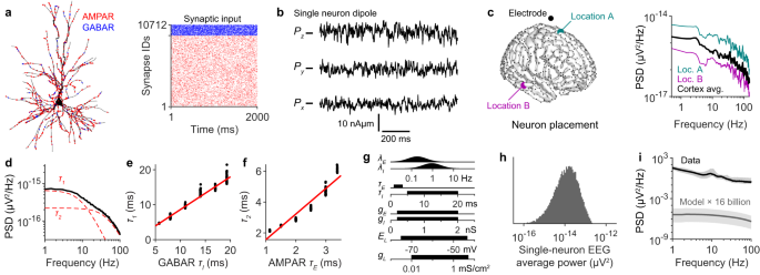 A neurophysiological basis for aperiodic EEG and the background 