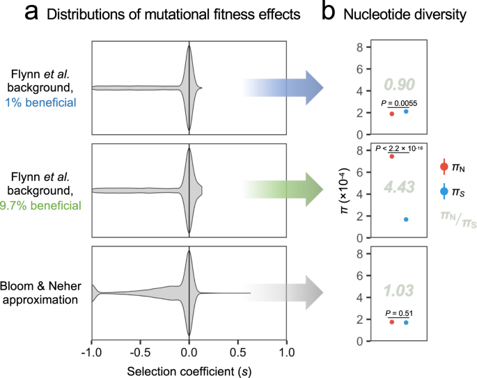 Reply to: Population genetic considerations regarding the interpretation of within-patient SARS-CoV-2 polymorphism data