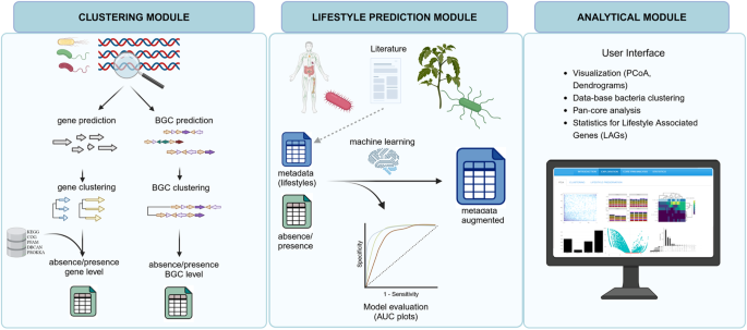 bacLIFE: a user-friendly computational workflow for genome 