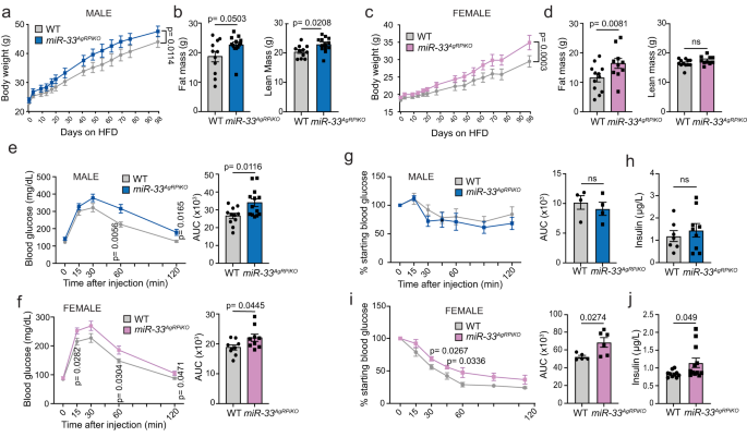 microRNA-33 controls hunger signaling in hypothalamic AgRP neurons - Nature.com