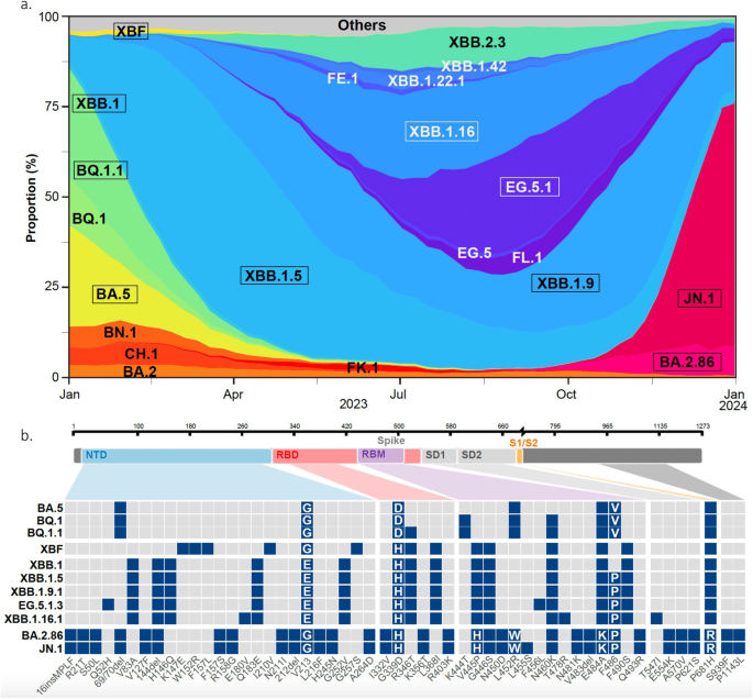 Distinct evolution of SARS-CoV-2 Omicron XBB and BA.2.86/JN.1 lineages combining increased fitness and antibody evasion