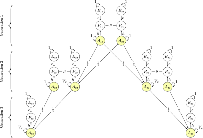                               Nature Communications                          volume  15, Article number: 2641  (2024 )             Cite this articl