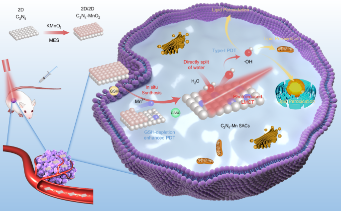 Tumor-activated in situ synthesis of single-atom catalysts for O2 