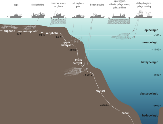 3D ocean assessments reveal that fisheries reach deep but marine protection  remains shallow | Nature Communications