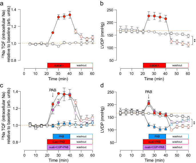 l carnitine help with excess sodium in lowering heart rate Elevated Na is a dynamic and reversible modulator of mitochondrial metabolism in the heart