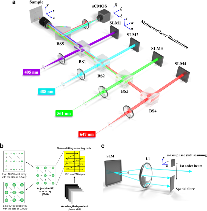 SPOT ORDER NEW marché グループB（What are facilitation skills and  
