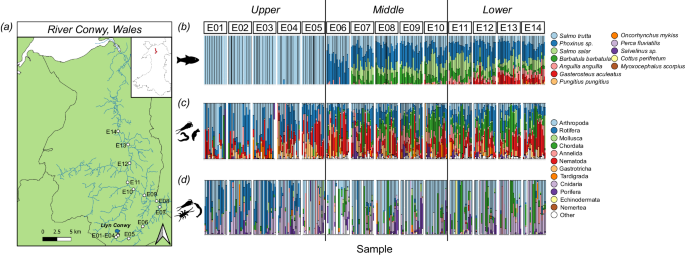 An integrated spatio-temporal view of riverine biodiversity using 