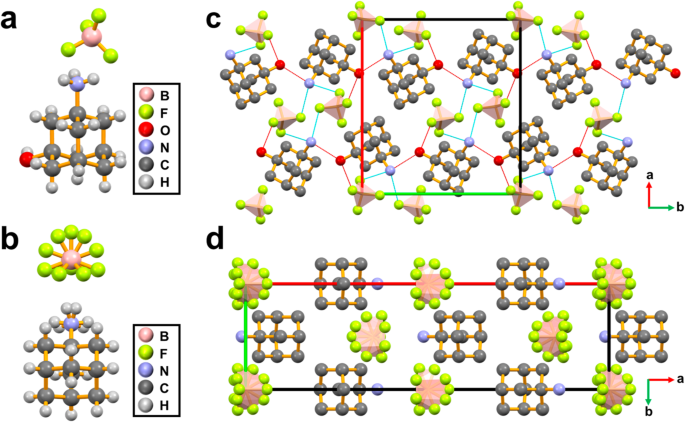 Enhancing Molecular Ferroelectrics with Hydrogen Bond Modification Strategy