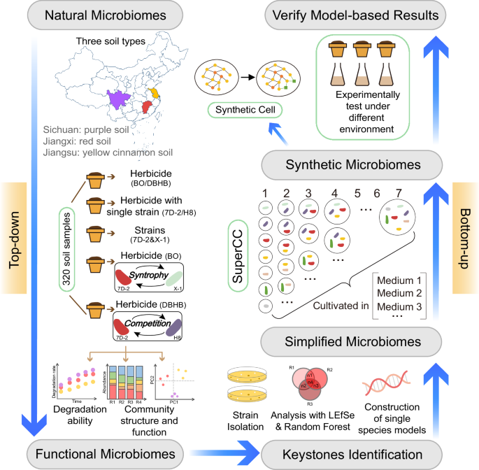 Engineering natural microbiomes toward enhanced bioremediation by 