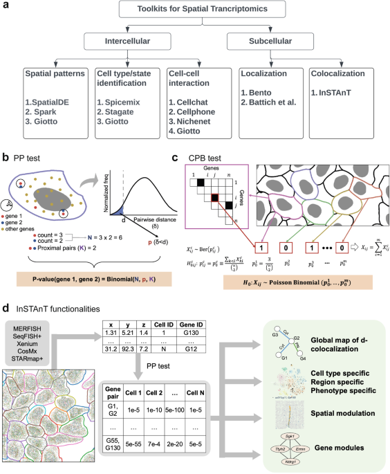 Intracellular spatial transcriptomic analysis toolkit (InSTAnT ...
