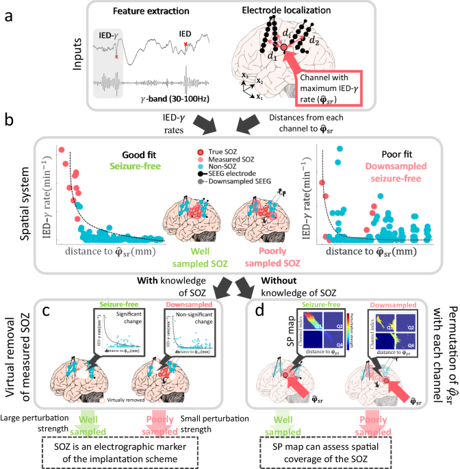 A spatial perturbation framework to validate implantation of the 