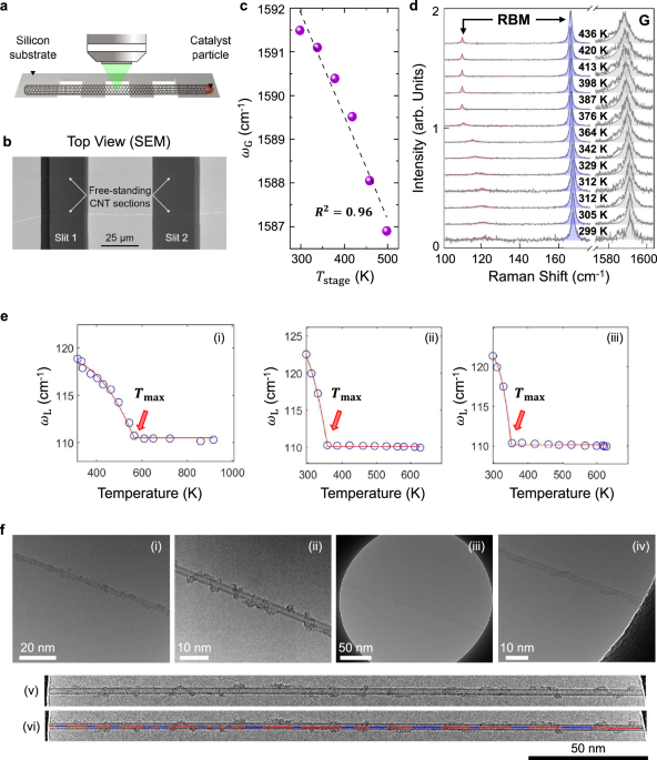 Environmental damping and vibrational coupling of confined fluids ...