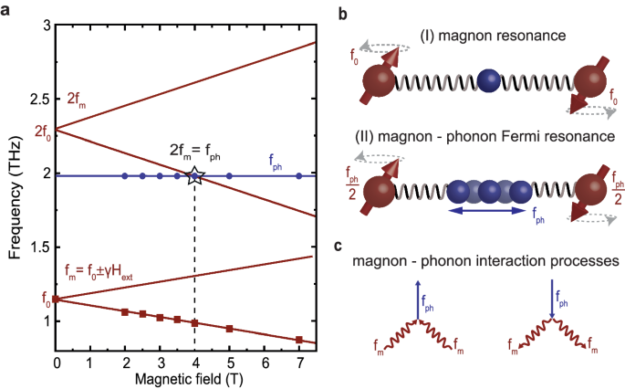 Magnon-phonon Fermi resonance in antiferromagnetic CoF2 | Nature ...