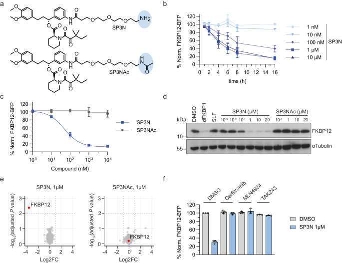 Alkylamine-tethered molecules recruit FBXO22 for targeted protein degradation
