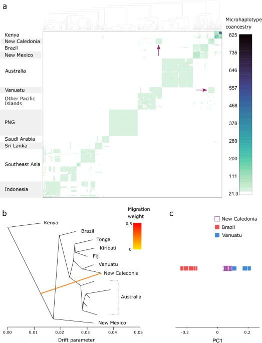 dr james advanced glutathione sri lanka Alteration of salivary LPO, MDA, LDH, glutathione, GPx, SOD and vitamins in oral submucous fibrosis: A three-level meta-analysis study Global, asynchronous partial sweeps at