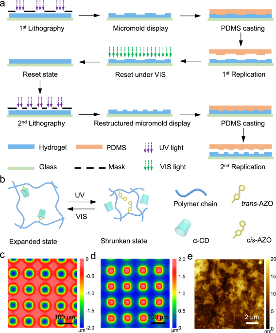 Generation of precision microstructures based on reconfigurable photoresponsive hydrogels for high-resolution polymer replication and microoptics