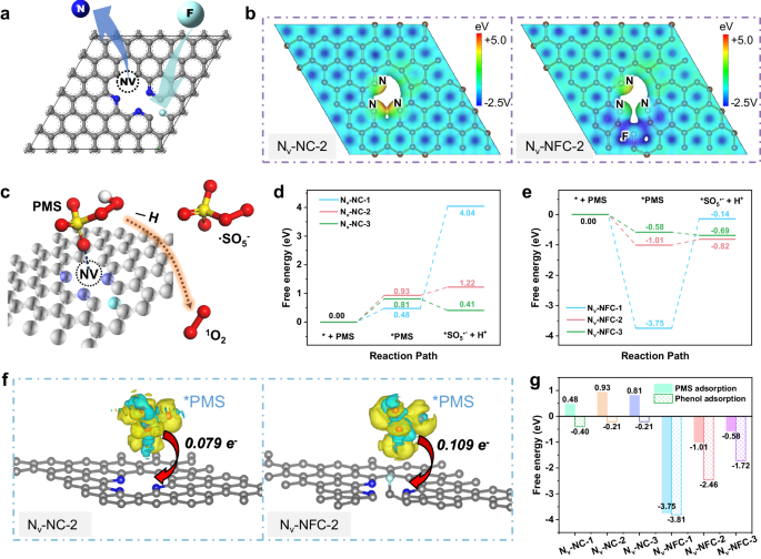 Tuning electronic structure of metal-free dual-site catalyst enables ...