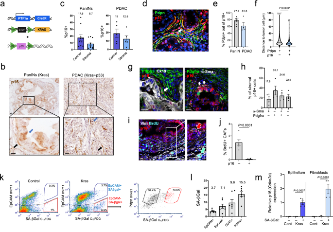 JEANASIS SENSEOFPLACE KBF など T427 apartbylowrys BLISSPOINT LEPSIM レディース28点まとめ！ 0319(140) HARE JEANASIS KBF apartbylowrys オールインワン YI380 SENSEOFPLACE