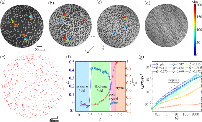 Anomalous flocking in nonpolar granular Brownian vibrators | Nature Communications