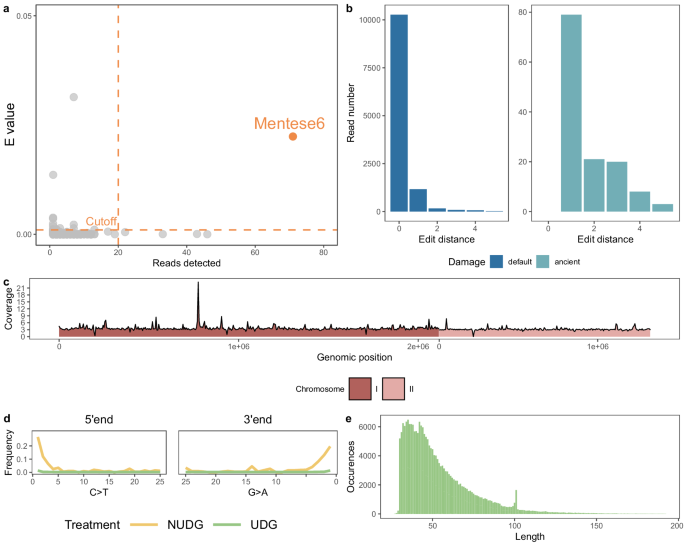 An 8000 years old genome reveals the Neolithic origin of the zoonosis Brucella melitensis - Nature.c
