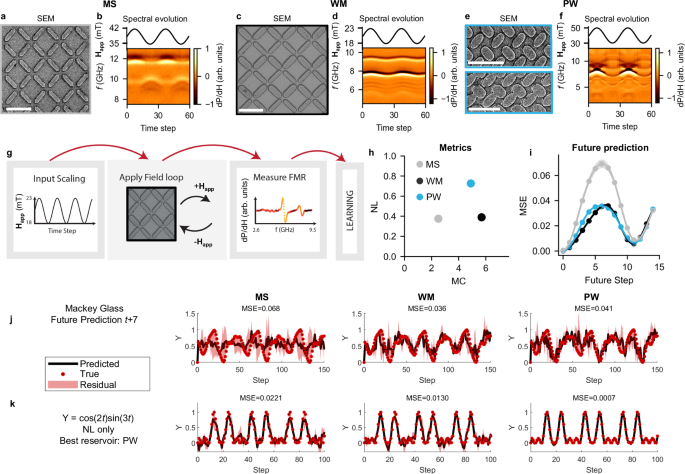 Neuromorphic overparameterisation and few-shot learning in multilayer ...
