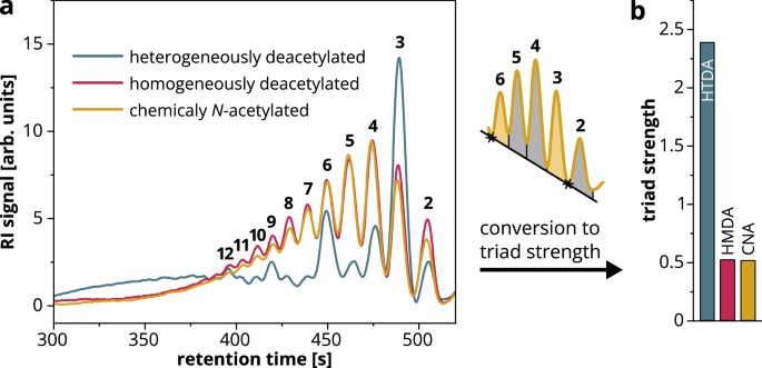 Heterogeneously deacetylated chitosans possess an unexpected regular ...