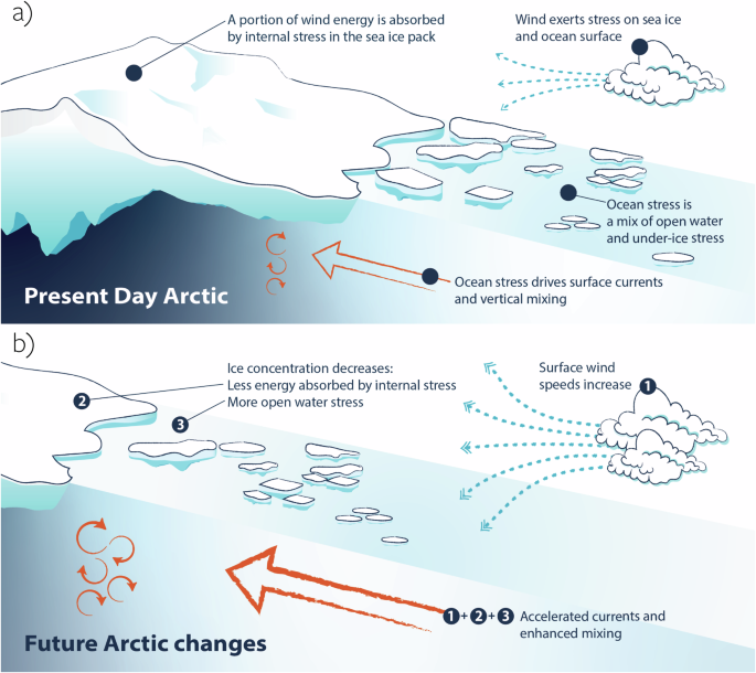 Future sea ice weakening amplifies wind-driven trends in surface 