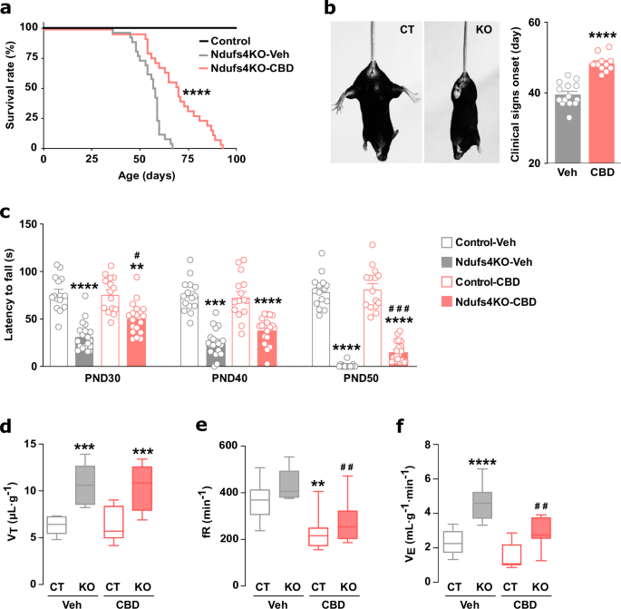 Cannabidiol ameliorates mitochondrial disease via PPARγ ...